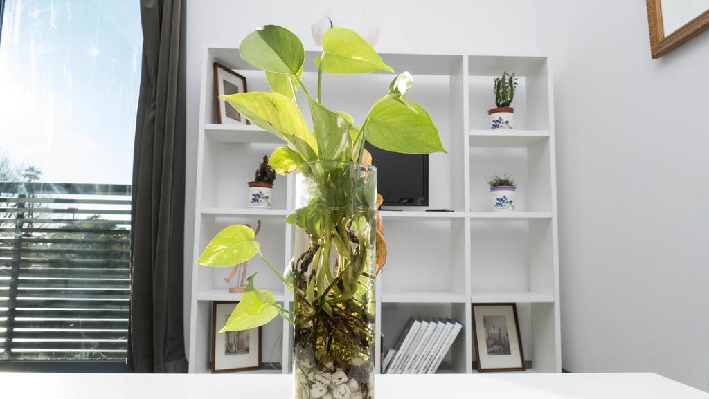 Apartamento La Calahorra 科爾多瓦 外观 照片
