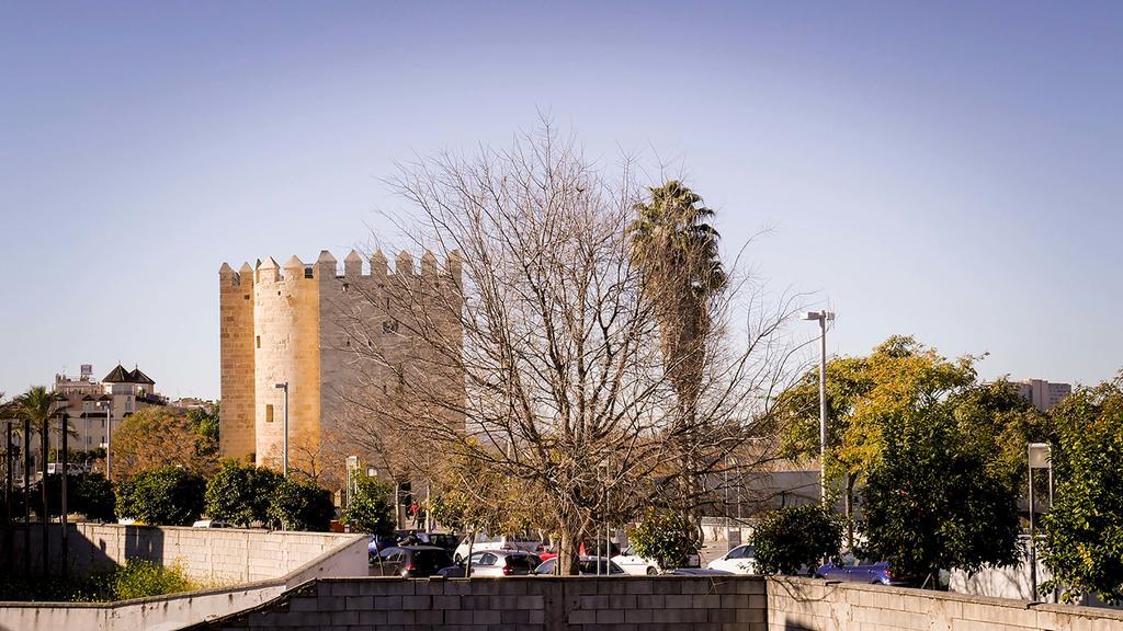 Apartamento La Calahorra 科爾多瓦 外观 照片