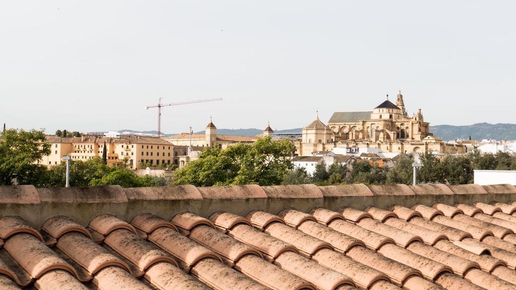 Apartamento La Calahorra 科爾多瓦 外观 照片